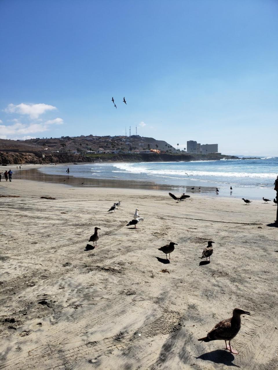 Calfia Condo Rosarito Kültér fotó